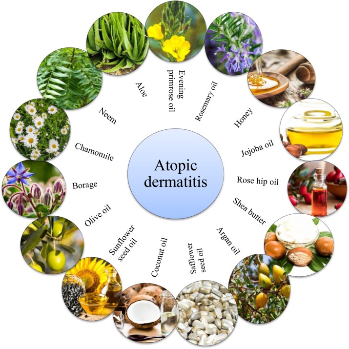 Ayurvedic Treatment Logic